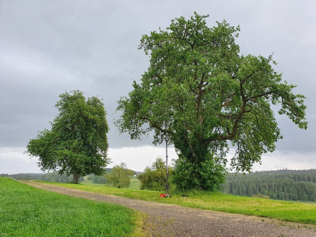 Keine Fotobeschreibung verfügbar.
